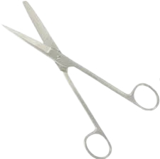 EN 1002-18:Cixeaux Dauphin,  (droite) 18cm