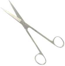 EN 1001-16:Ciseaux Mousse, (droite)